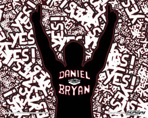 Daniel Bryan YES! Wallpaper / KupyWrestlingWallpapers.info