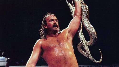 Jake The Snake Roberts / WWE