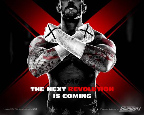 The Next Revolution is Coming - “WWE’13″ / KupyWrestlingWallpapers.info