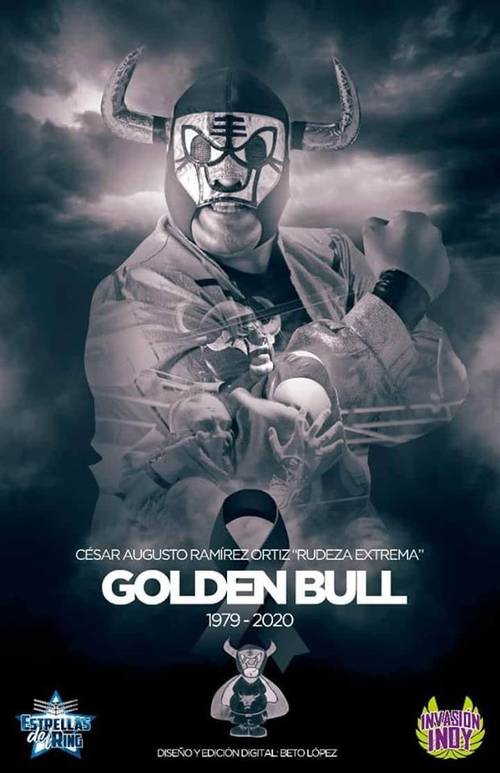 Luchador Golden Bull