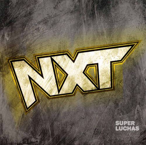 Pornxt - WWE apuesta por NXT para reinventar luchadores â€“ Superluchas