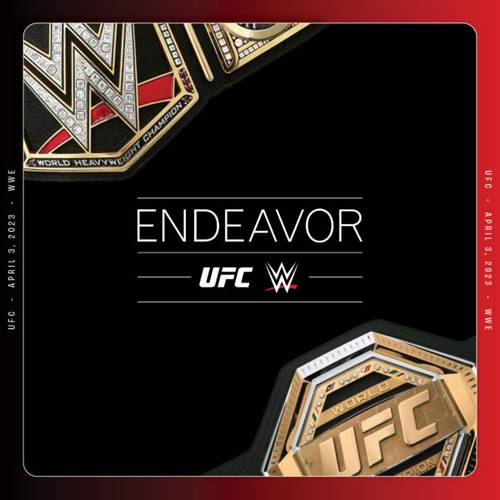 Endeavor y WWE