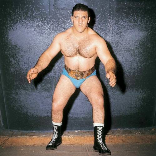 Bruno Sammartino como Campeón WWWF
