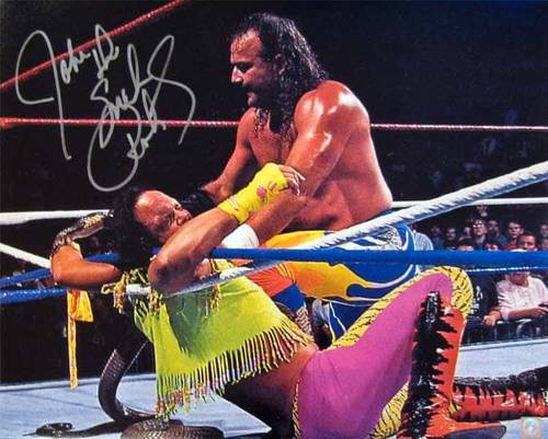 Jake 'The Snake' Roberts atacando a Macho Man Randy Savage / ©WWE
