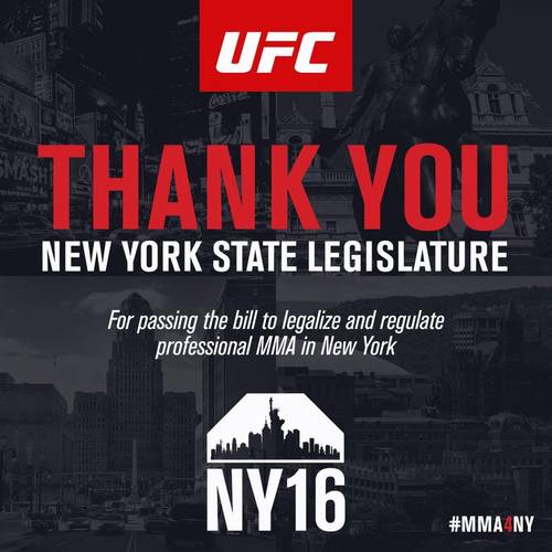 Legalizan MMA en NY