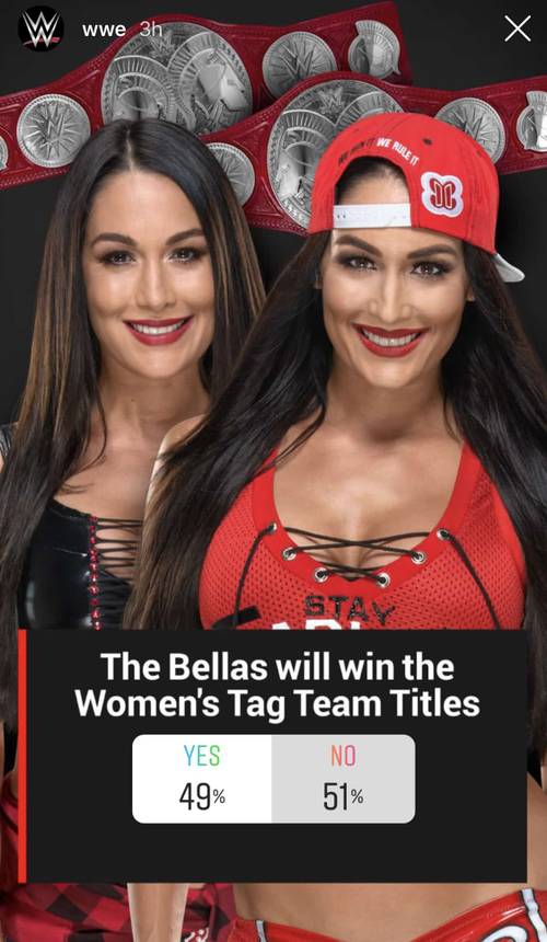 ¿The Bella Twins ganarán el Campeonato Femenil de Parejas WWE en este 2019? / Instagram.com/WWE