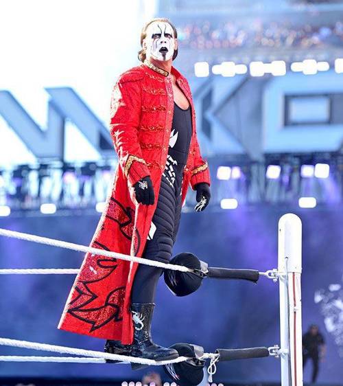 Sting habría acabado con WWE