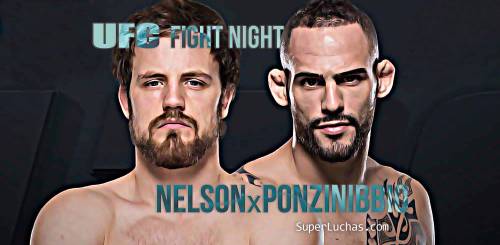UFC Fight Night 113: Nelson vs. Ponzonibbio