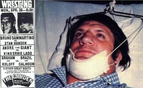 bruno sammartino stan hansen