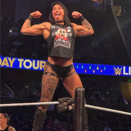 WWE Live Holiday Tour (Orlando, 28.12.2024)