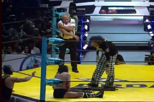 Dos luchadores en un ring de lucha libre.