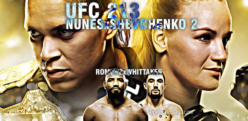 UFC 213