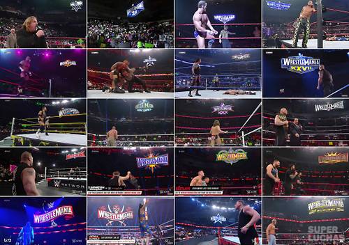 Banners WrestleMania 01