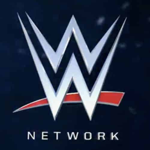 ¿Nuevo logotipo de WWE Network? (9.11.11)