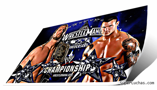 WrestleMania 25 Triple H vs Randy Orton
