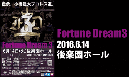 fortune dream 3