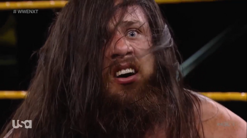 Tocamientos indebidos en WWE NXT