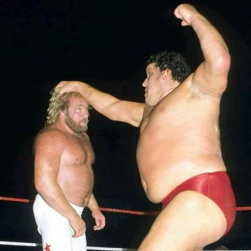 André el Gigante vs. Big John Studd