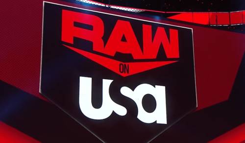 Logo de Raw en USA Network en un show de WWE - WWE