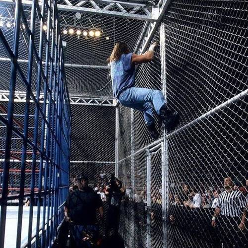 El combate The Dog Kennel from Hell en WWF