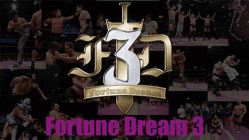 fortune dream3 logo